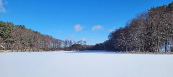 Zdjęcie 11