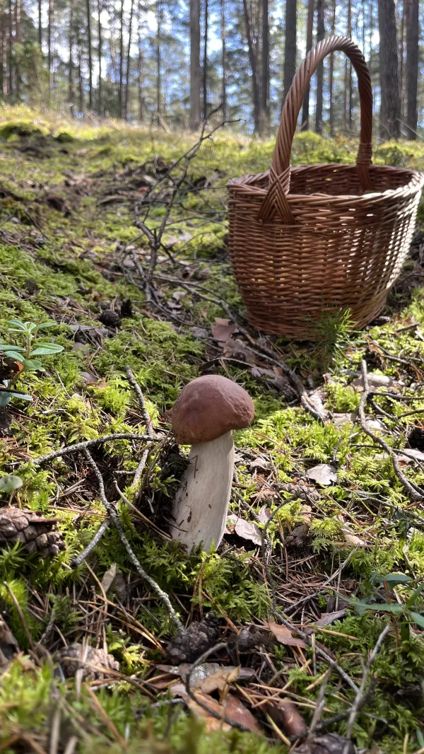 Zdjęcie 20