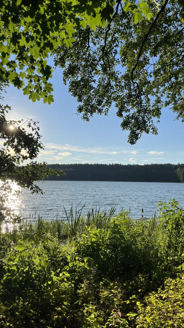 Zdjęcie 24